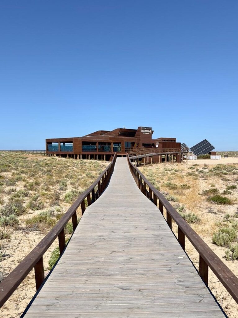 A long wooden boardwalk leading through sand dunes toward the eco-friendly Estaminé restaurant structure on Ilha Deserta near Faro, featured in a guide on where to eat in the Algarve.